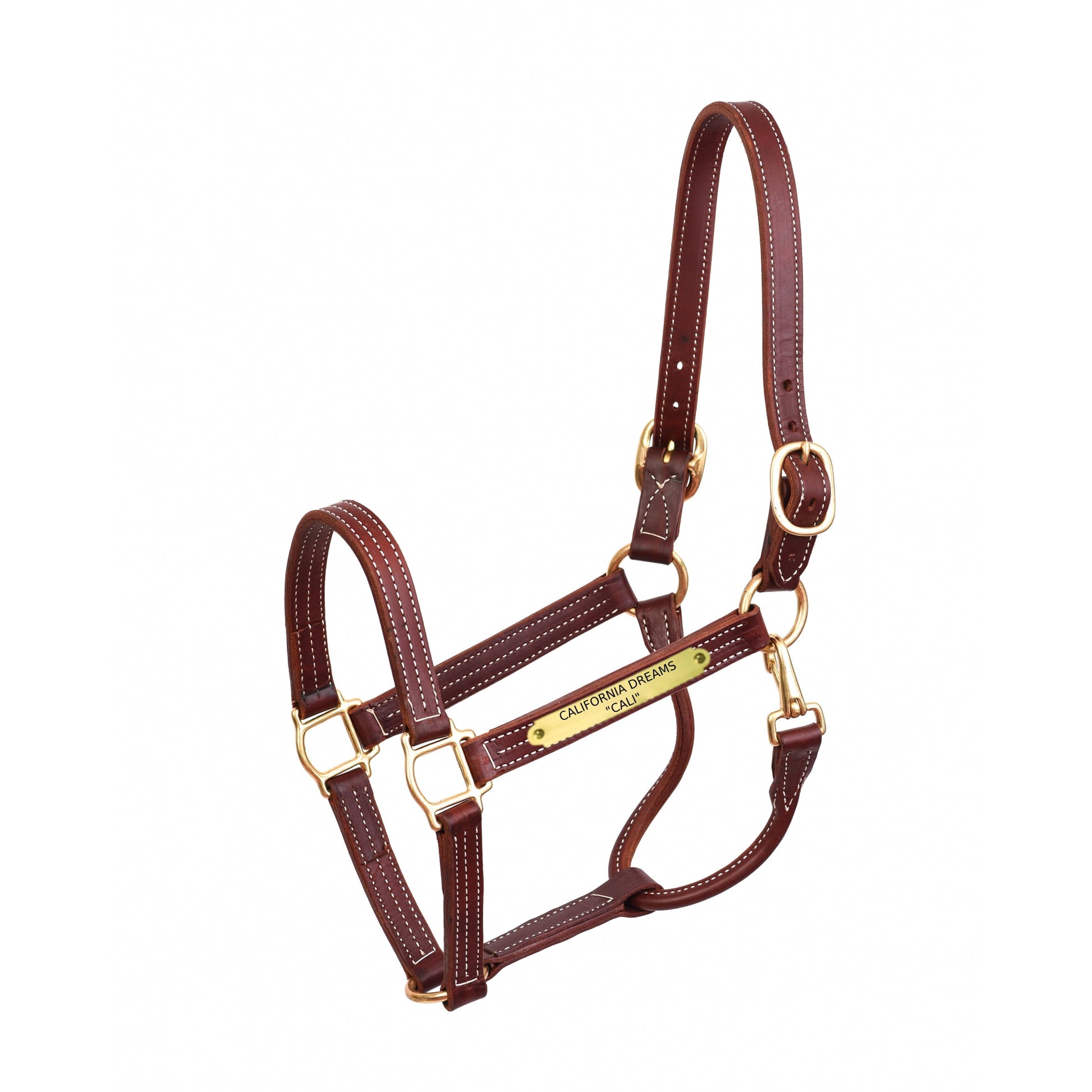 Perri's Personalized Professional Halter