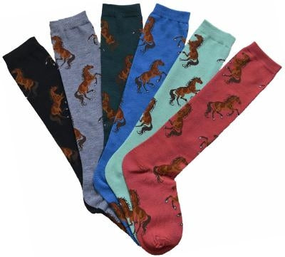 AWST Int'l Ladies "Lila" Bay Horse Knee Socks - 6 Pack