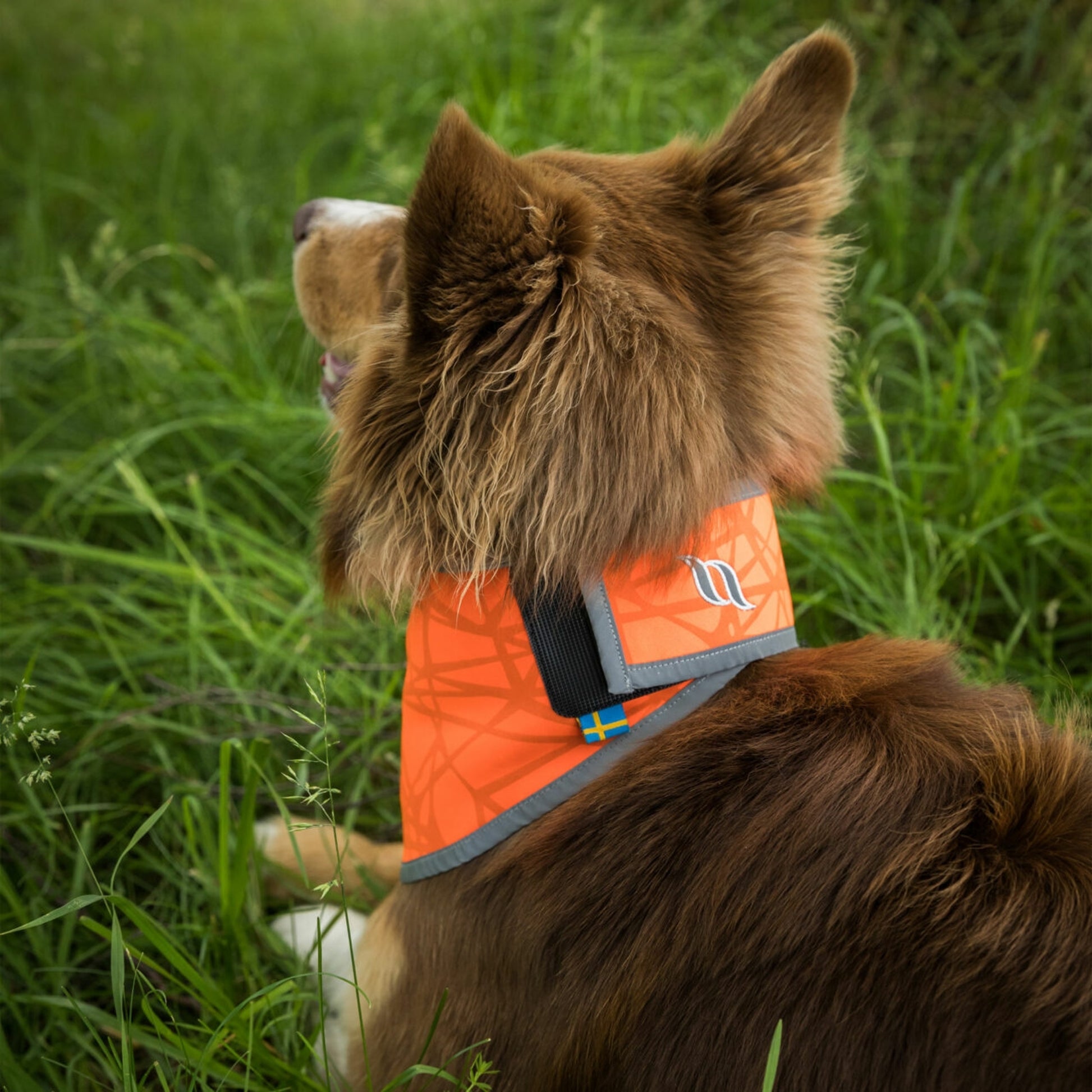 Back on Track Draco High Visibility Dog Bandana