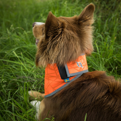 Back on Track Draco High Visibility Dog Bandana