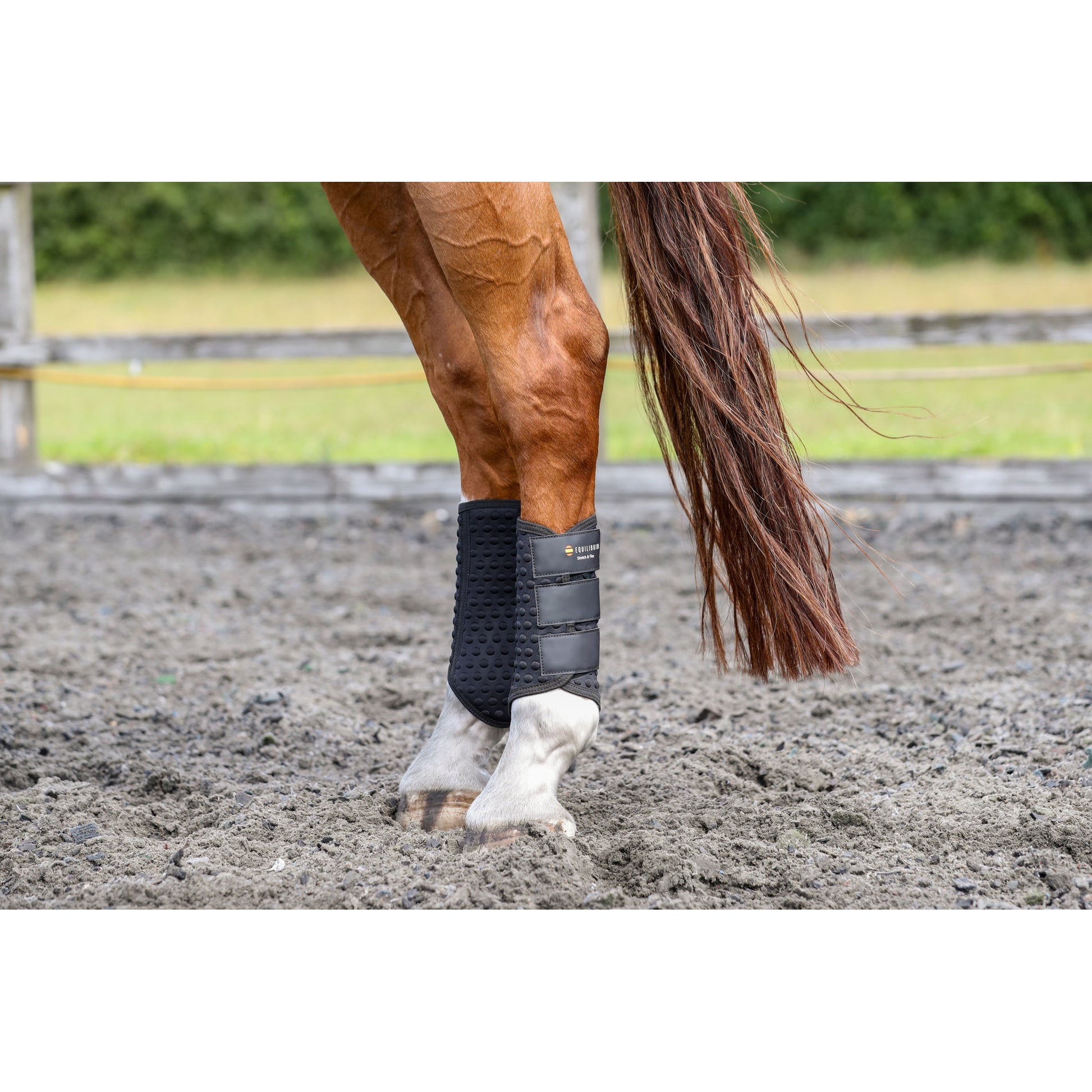Equilibrium Stretch & Flex Flatwork Wraps
