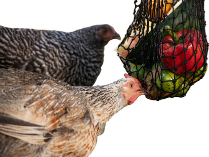 Texas Haynet Busy Bag Chicken Feeder