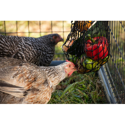 Texas Haynet Busy Bag Chicken Feeder