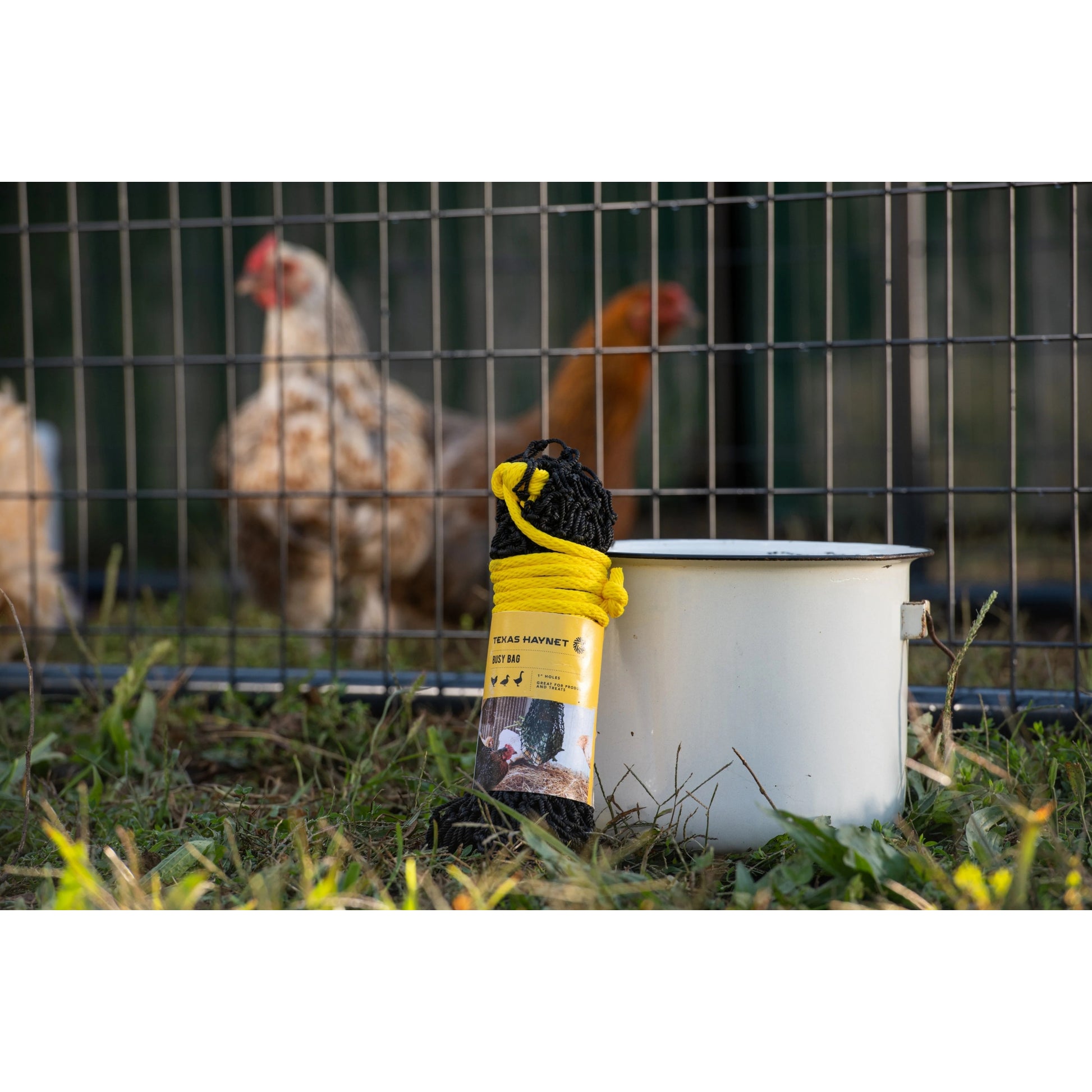 Texas Haynet Busy Bag Chicken Feeder