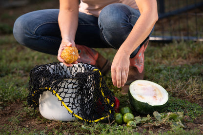 Texas Haynet Busy Bag Chicken Feeder