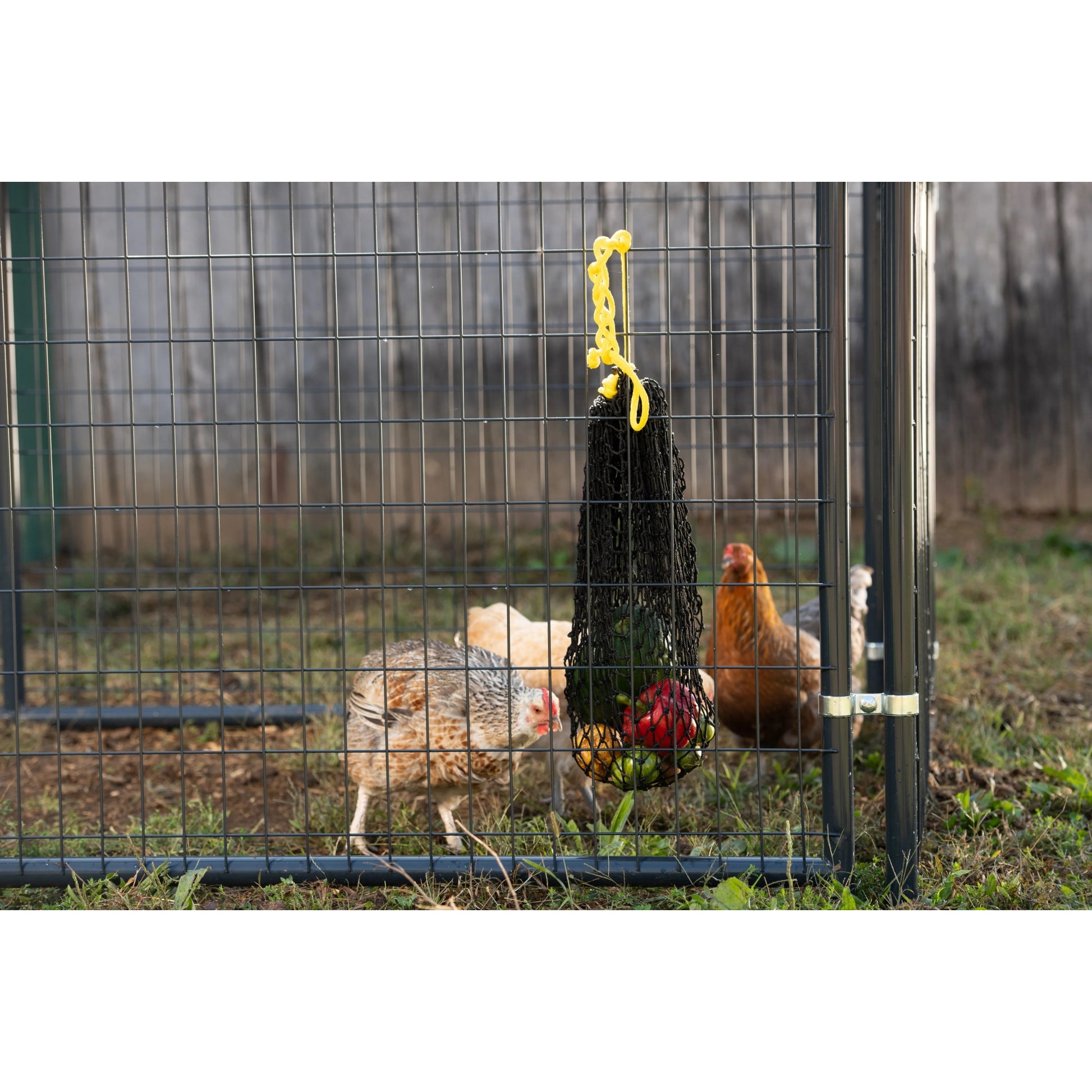 Texas Haynet Busy Bag Chicken Feeder