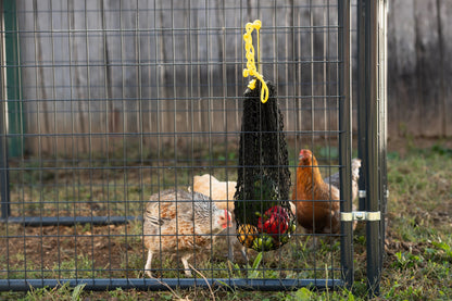 Texas Haynet Busy Bag Chicken Feeder
