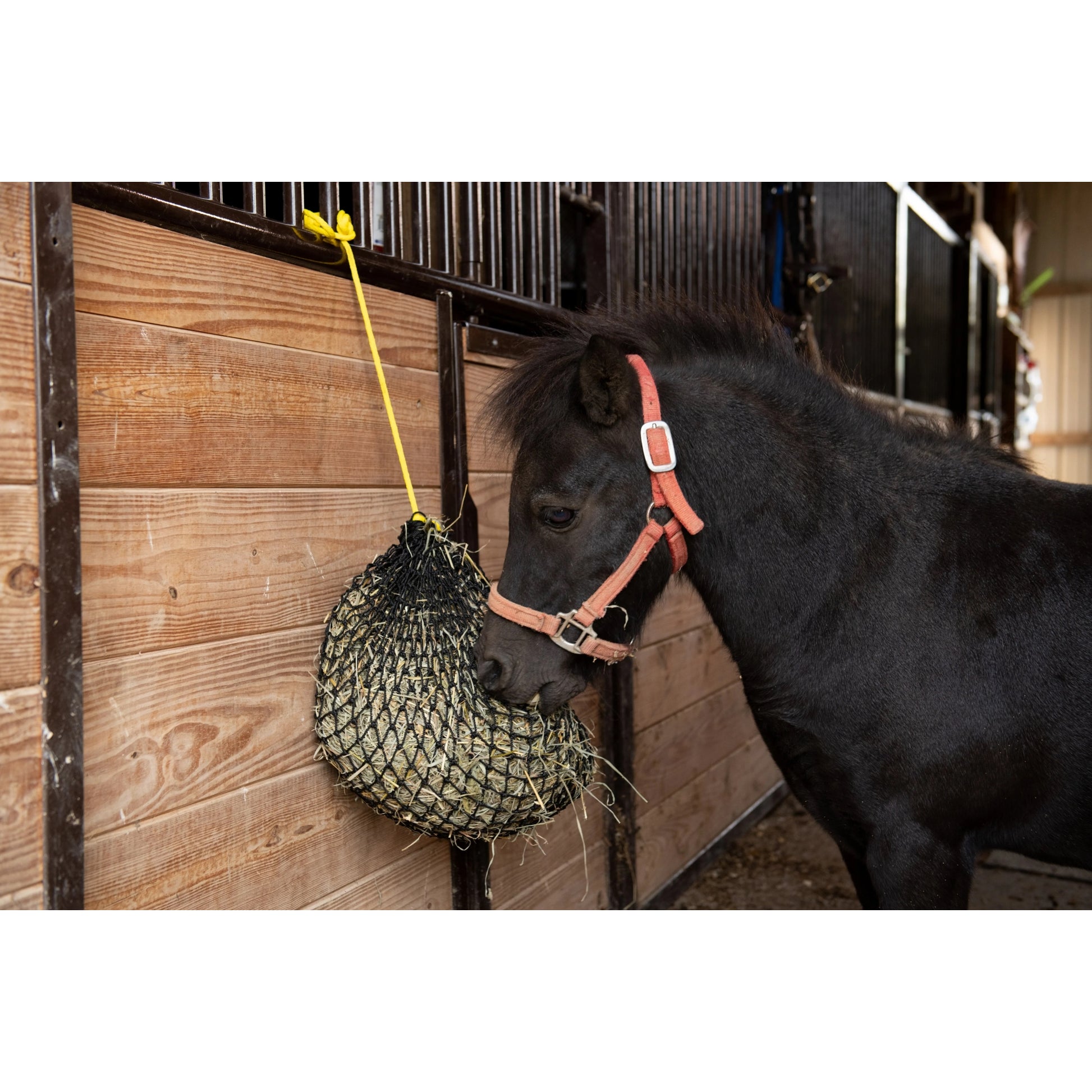 Texas Haynet Extra Small Hay Net
