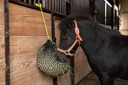 Texas Haynet Extra Small Hay Net