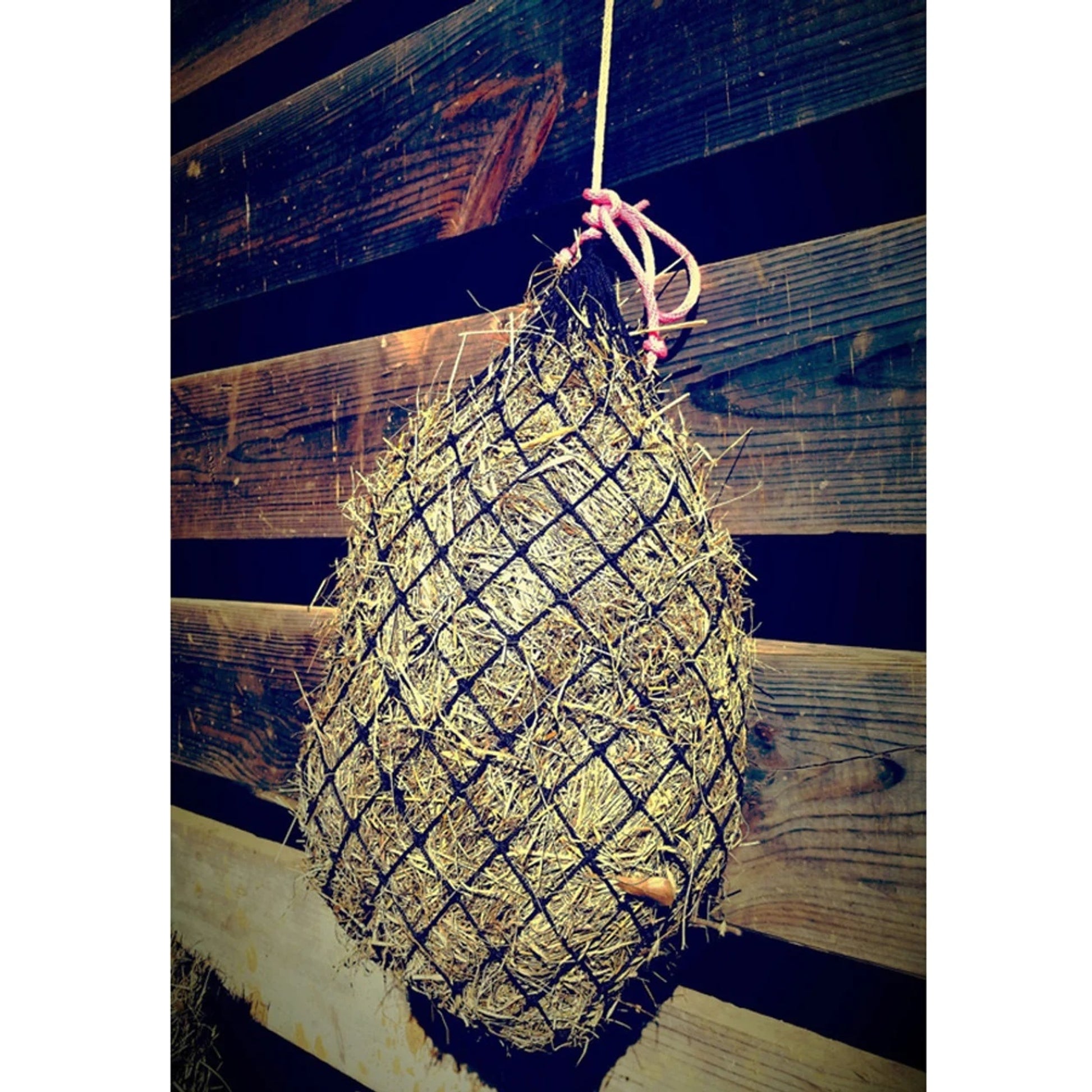 Texas Haynet Economy Hay Net