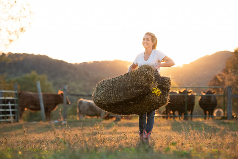 Texas Haynet Square Bale Hay Net