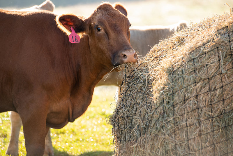 Texas Haynet Livestock Bale Net