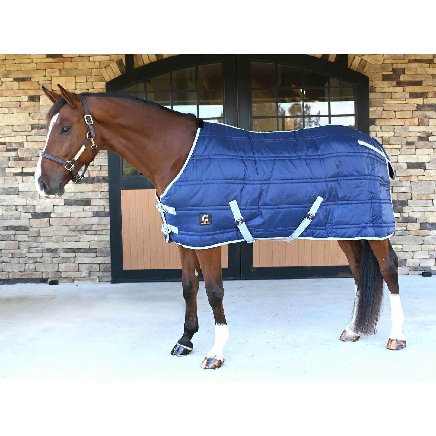 🎁 Gatsby Heavyweight Stable Blanket (100% off)
