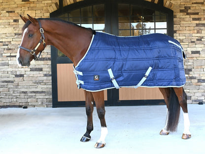 🎁 Gatsby Heavyweight Stable Blanket (100% off)