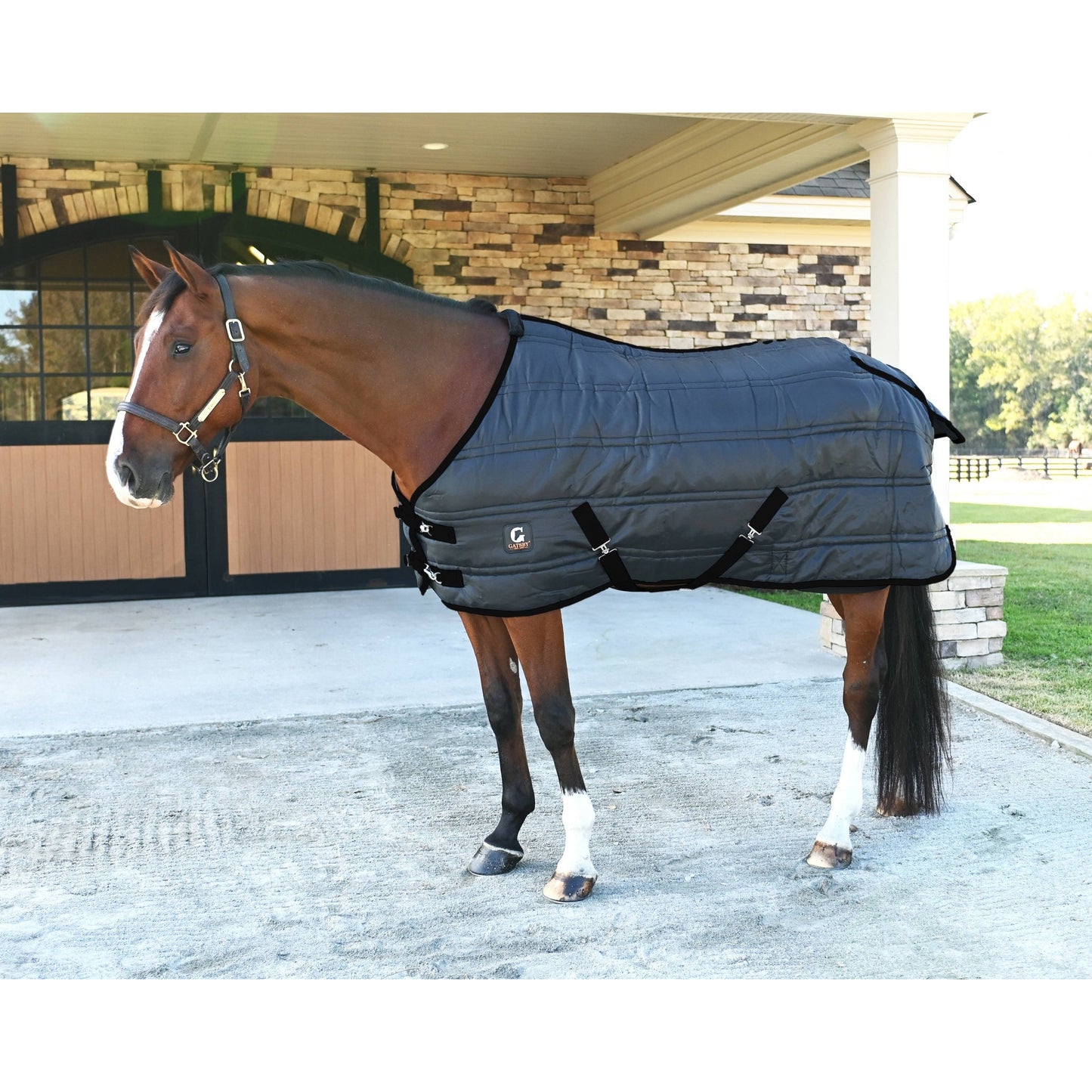 🎁 Gatsby Heavyweight Stable Blanket (100% off)