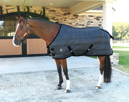 🎁 Gatsby Heavyweight Stable Blanket (100% off)