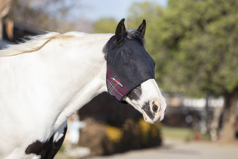 Kensington UV CatchMask Web Trim