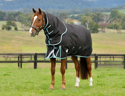 Weatherbeeta ComFiTec Ultra Comfi Detach-A-Neck Medium Turnout Blanket
