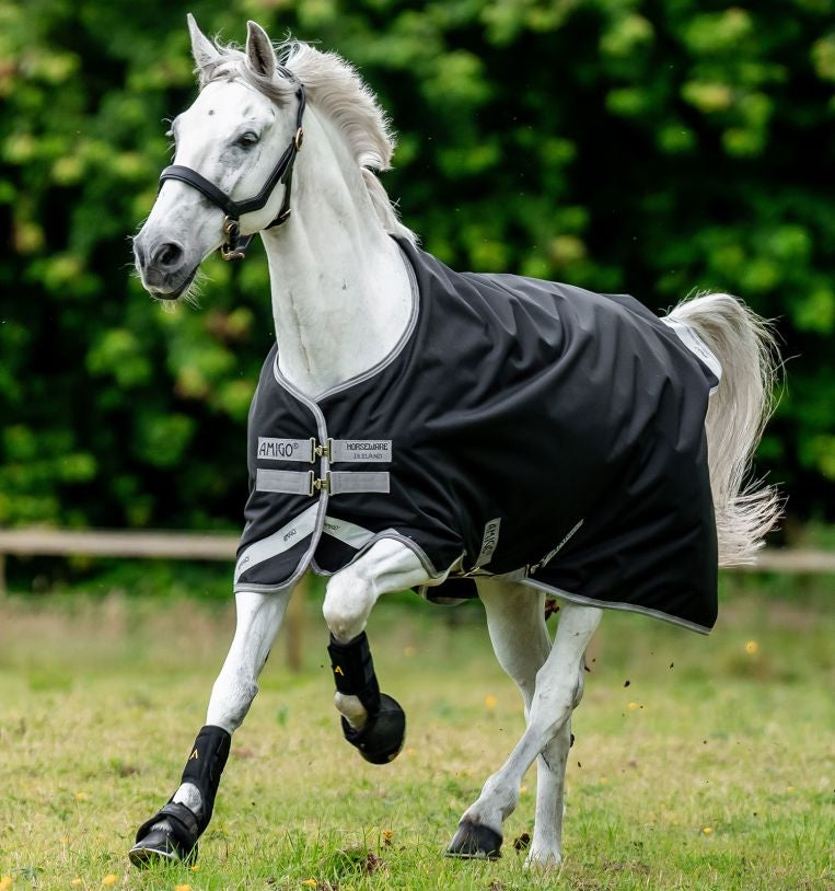 Amigo Bravo 12 Original Turnout Blanket (0g Lite)