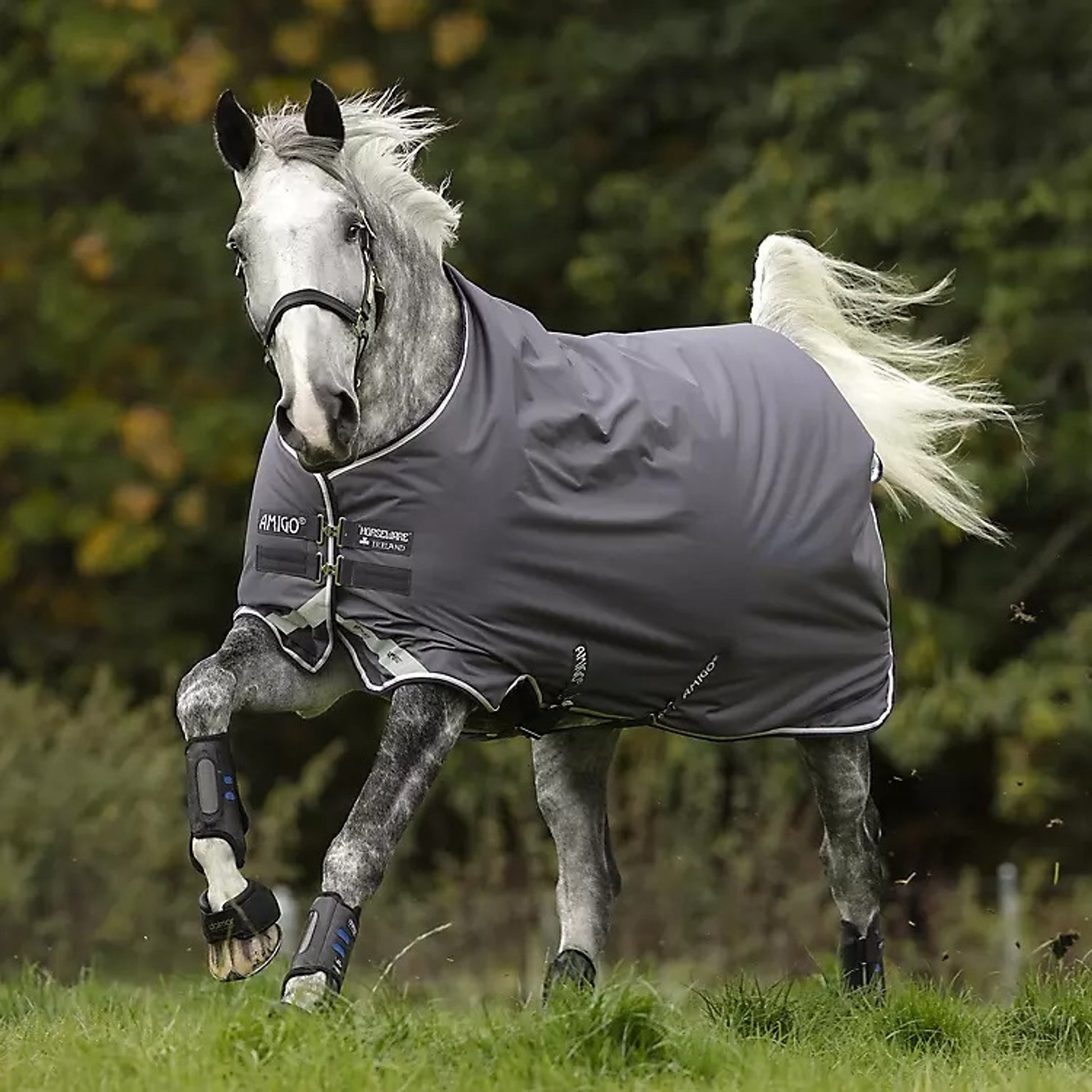 Amigo Bravo 12 Original Turnout Blanket (250g Medium)