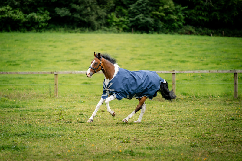 Amigo Bravo 12 XL Orignal Turnout (0g Lite)