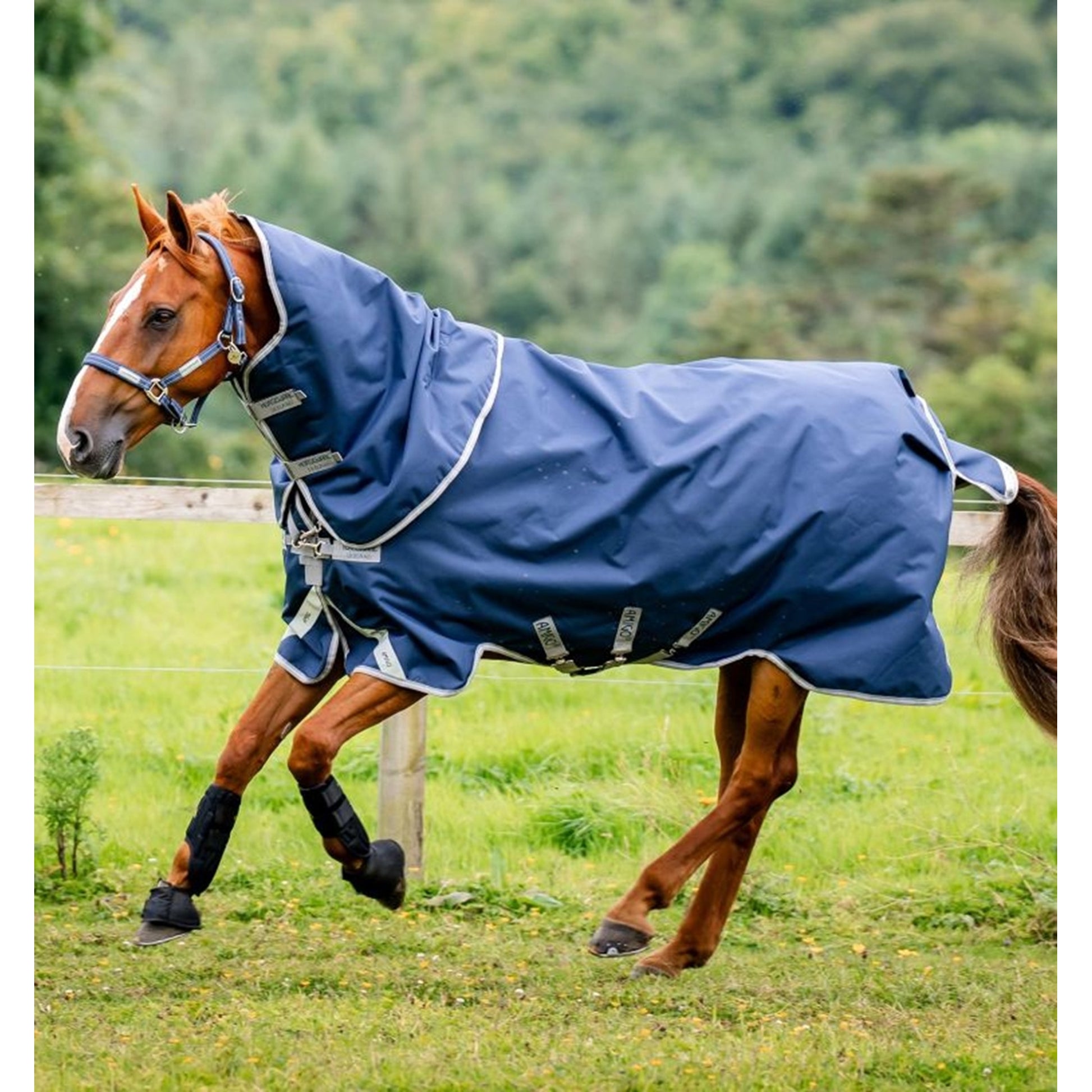 Amigo Bravo 12 Plus Bundle Turnout (50g Outer with 100g Liner and 200g Liner)