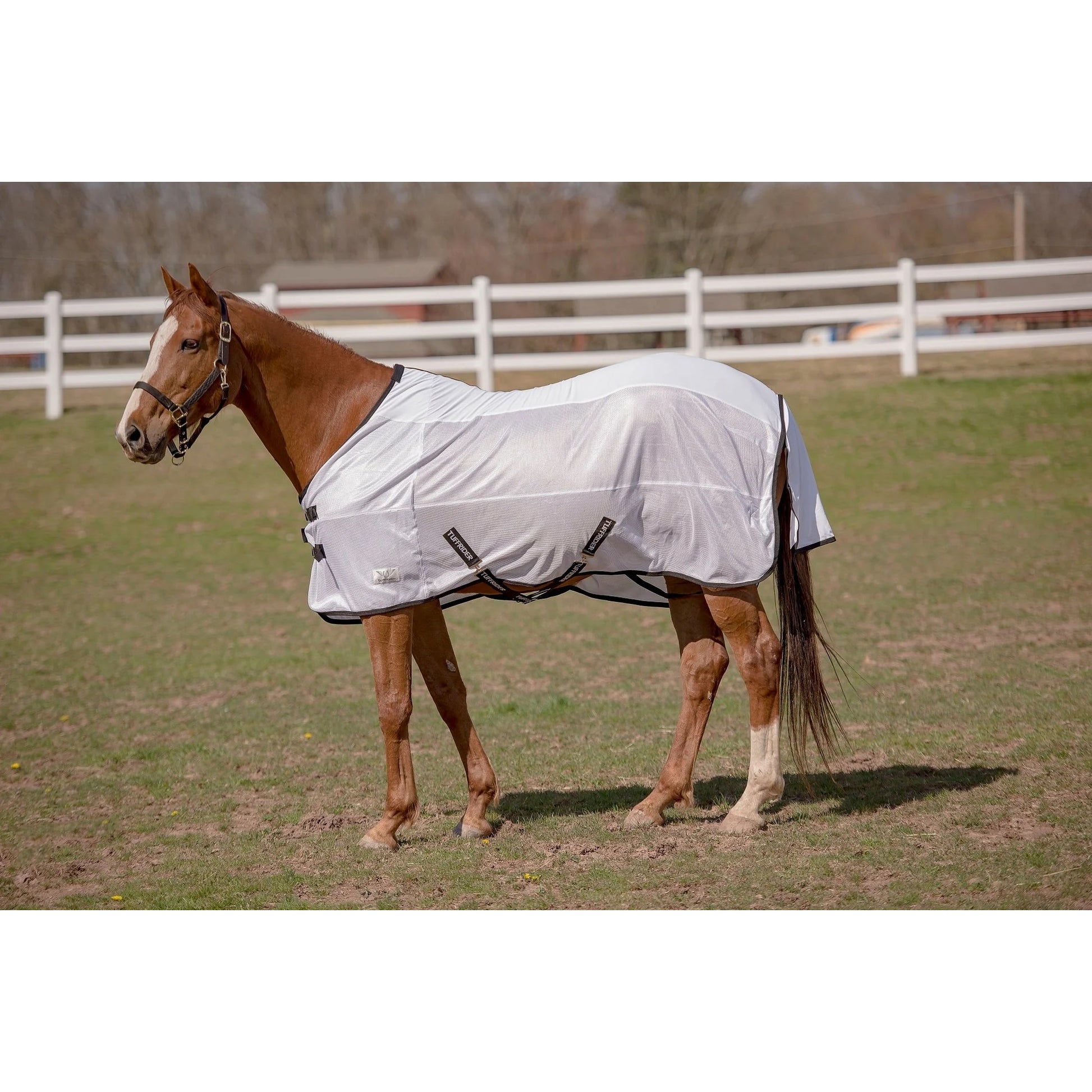 TuffRider Sport CoolMax/Mesh Blend Standard Neck Fly Sheet
