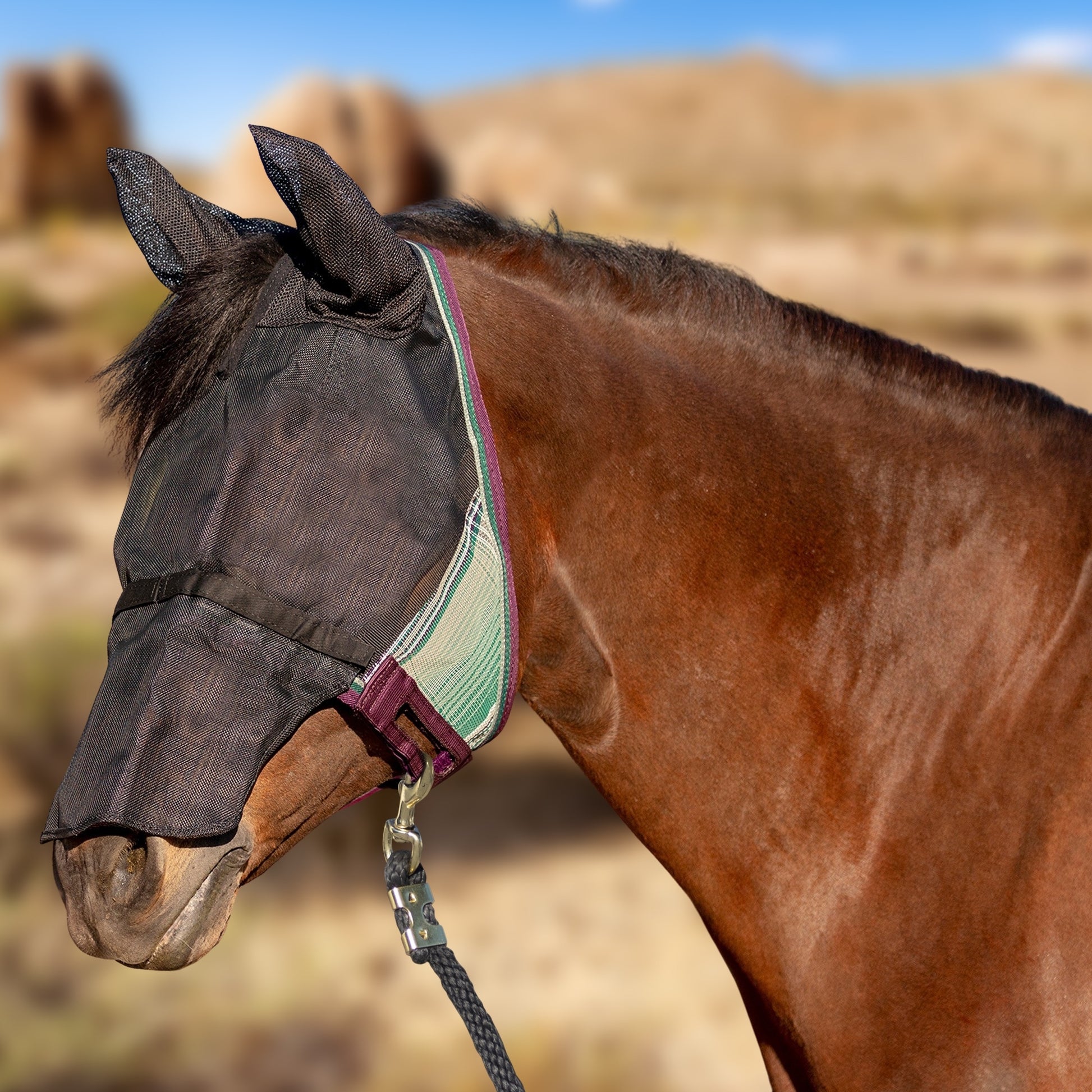 Kensington UV CatchMask Fly Mask with Ears & Long Nose