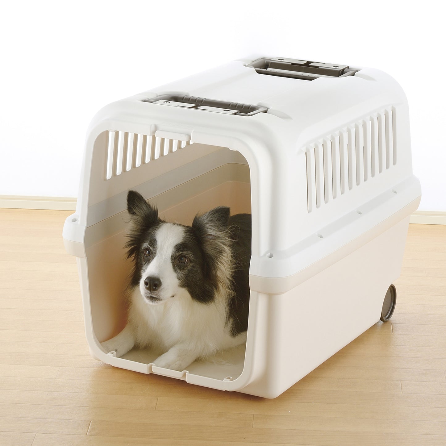4-434307-a.jpg