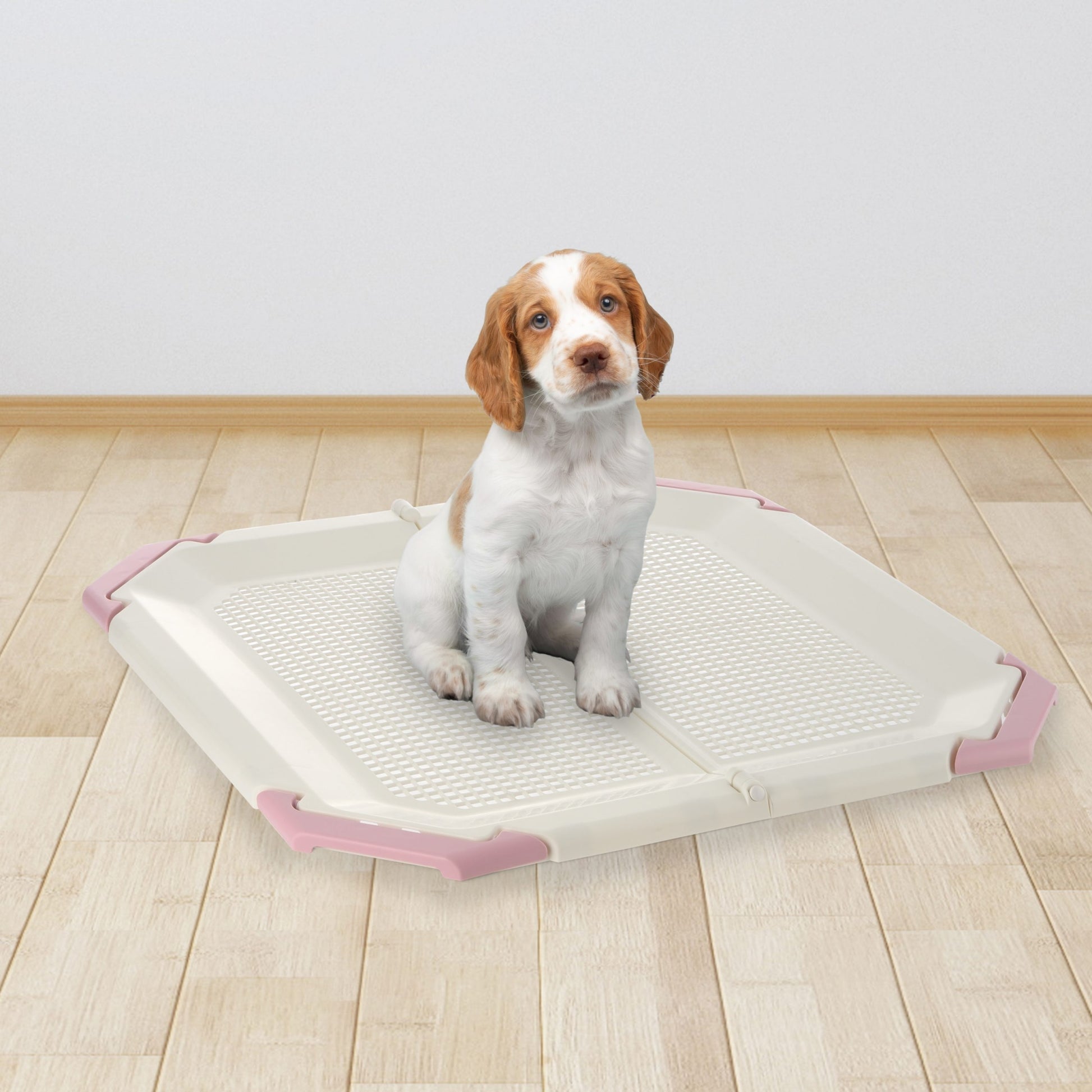 Richell PAW TRAX Potty Pad Holder