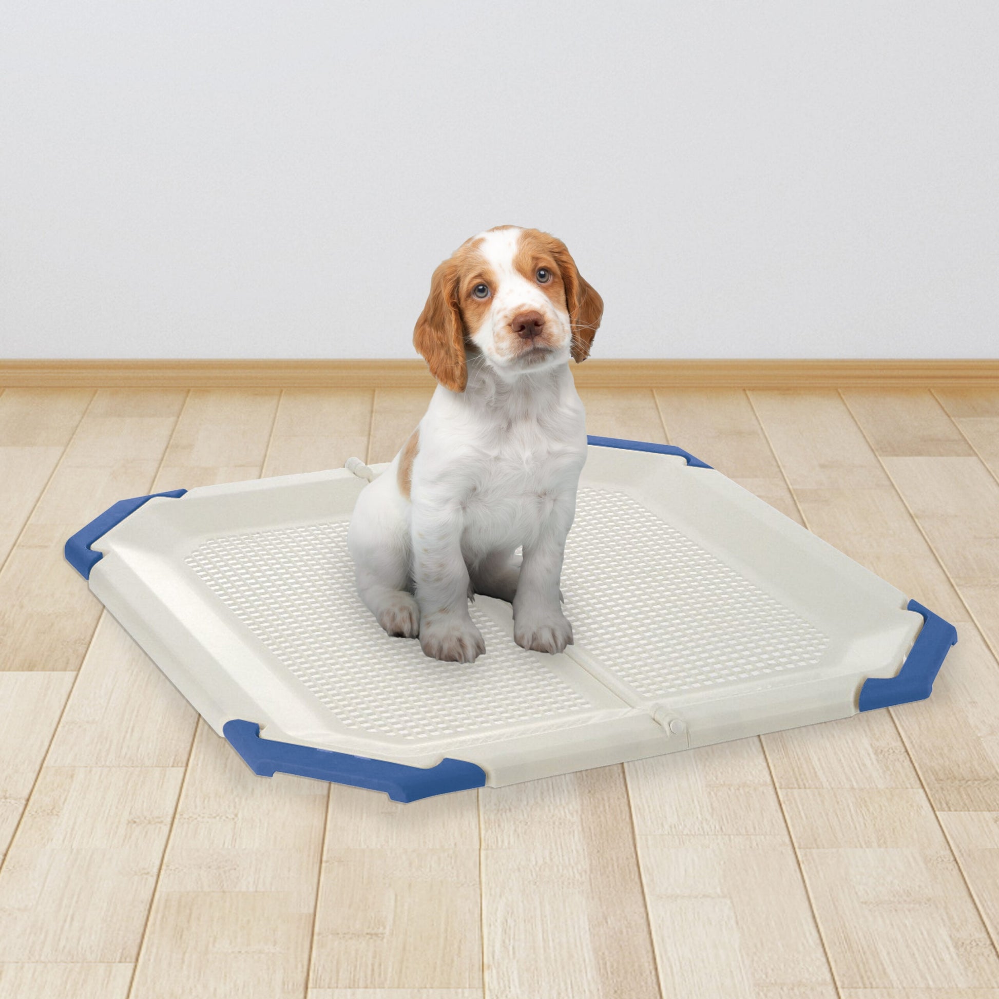 Richell PAW TRAX Potty Pad Holder