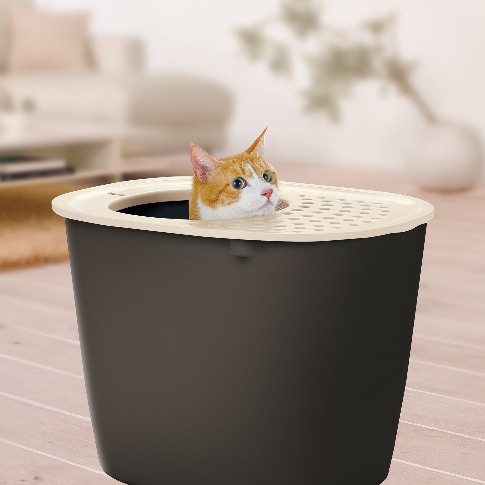 Richell PAW TRAX Top Entry Cat Litter Box
