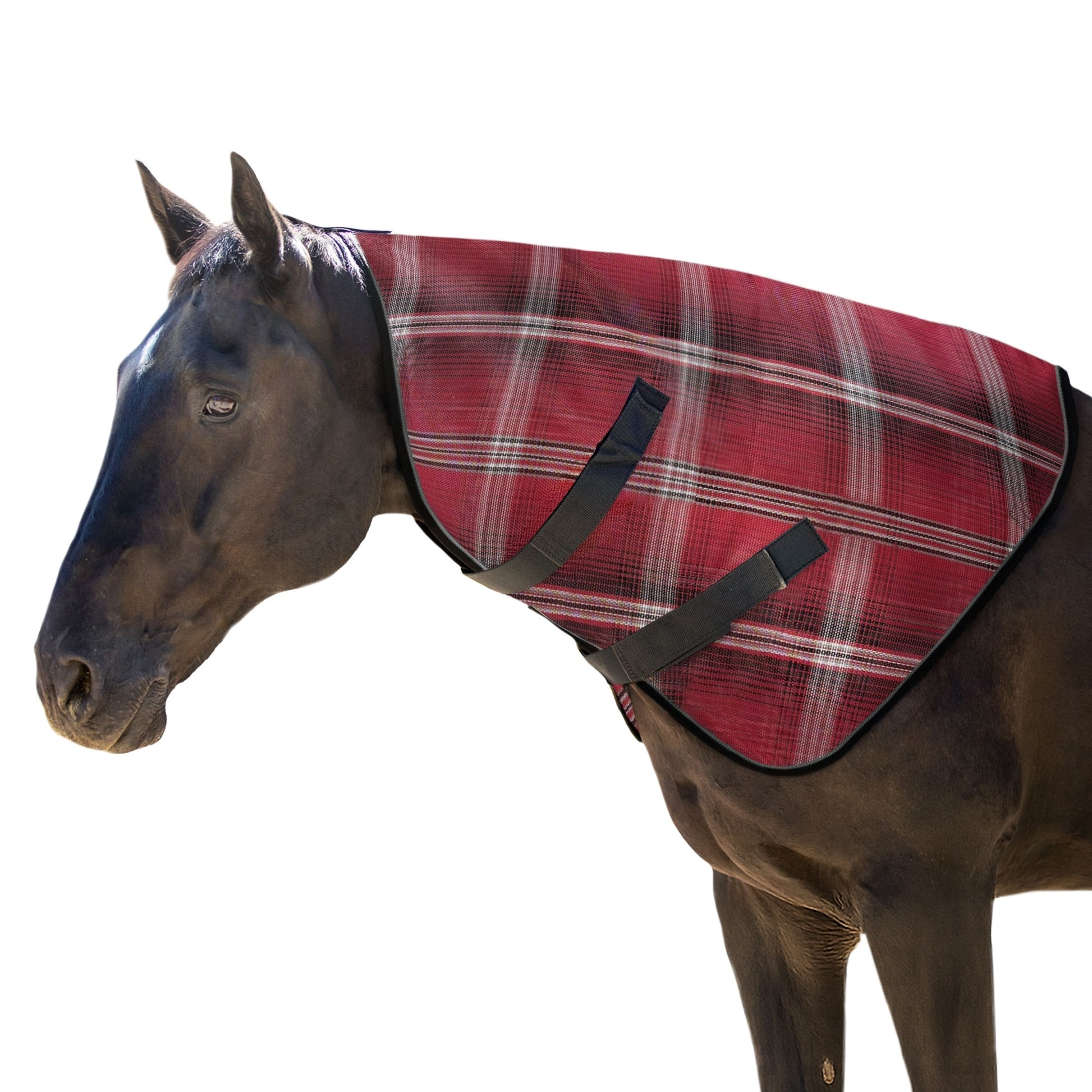Kensington Horse Protective Neck Cover