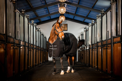 Rambo Stable Blanket (100g Lite)