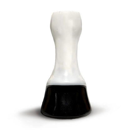 Scoot Boot Horse Leg & Hoof Model