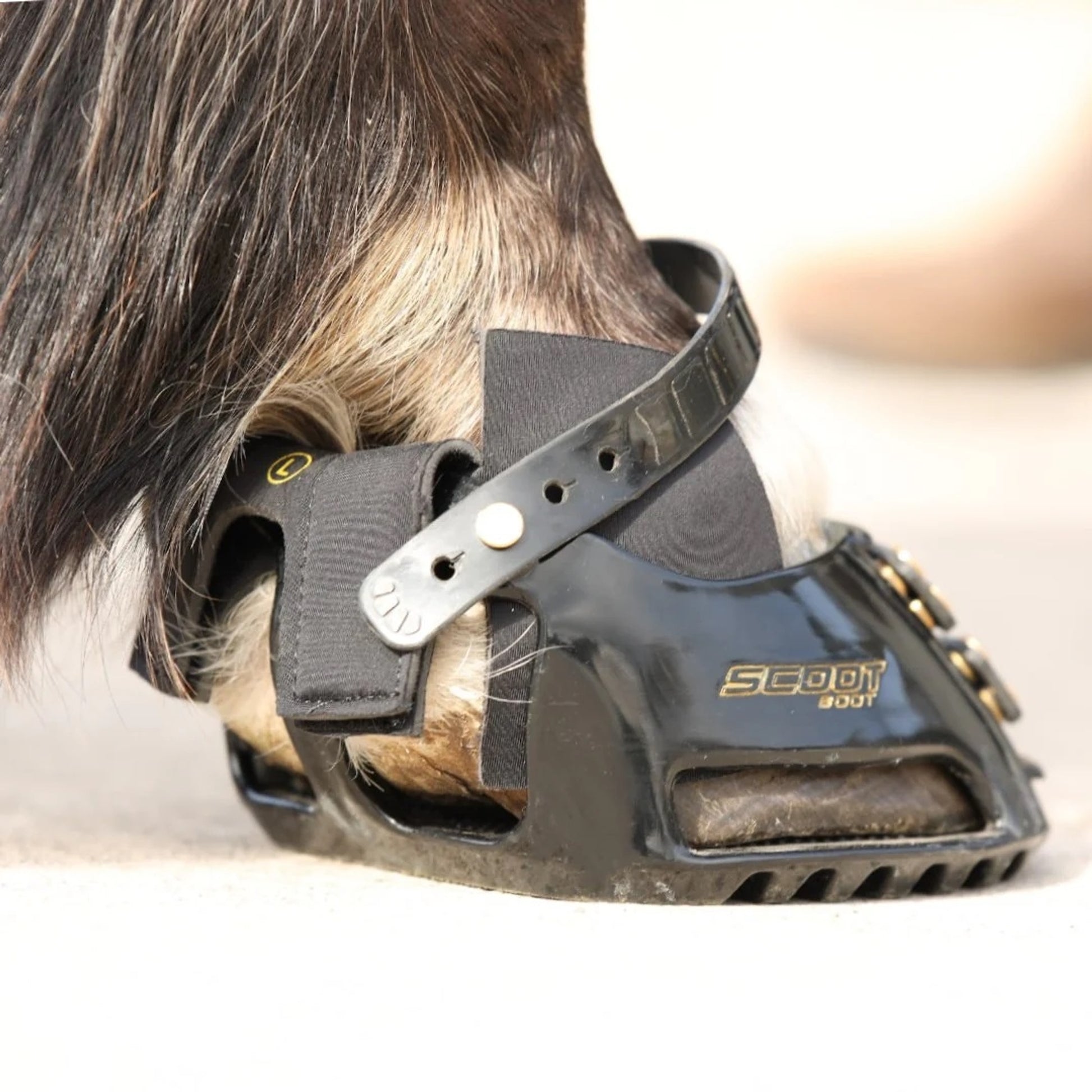 Scoot Boot Hybrid Gaiter Pack