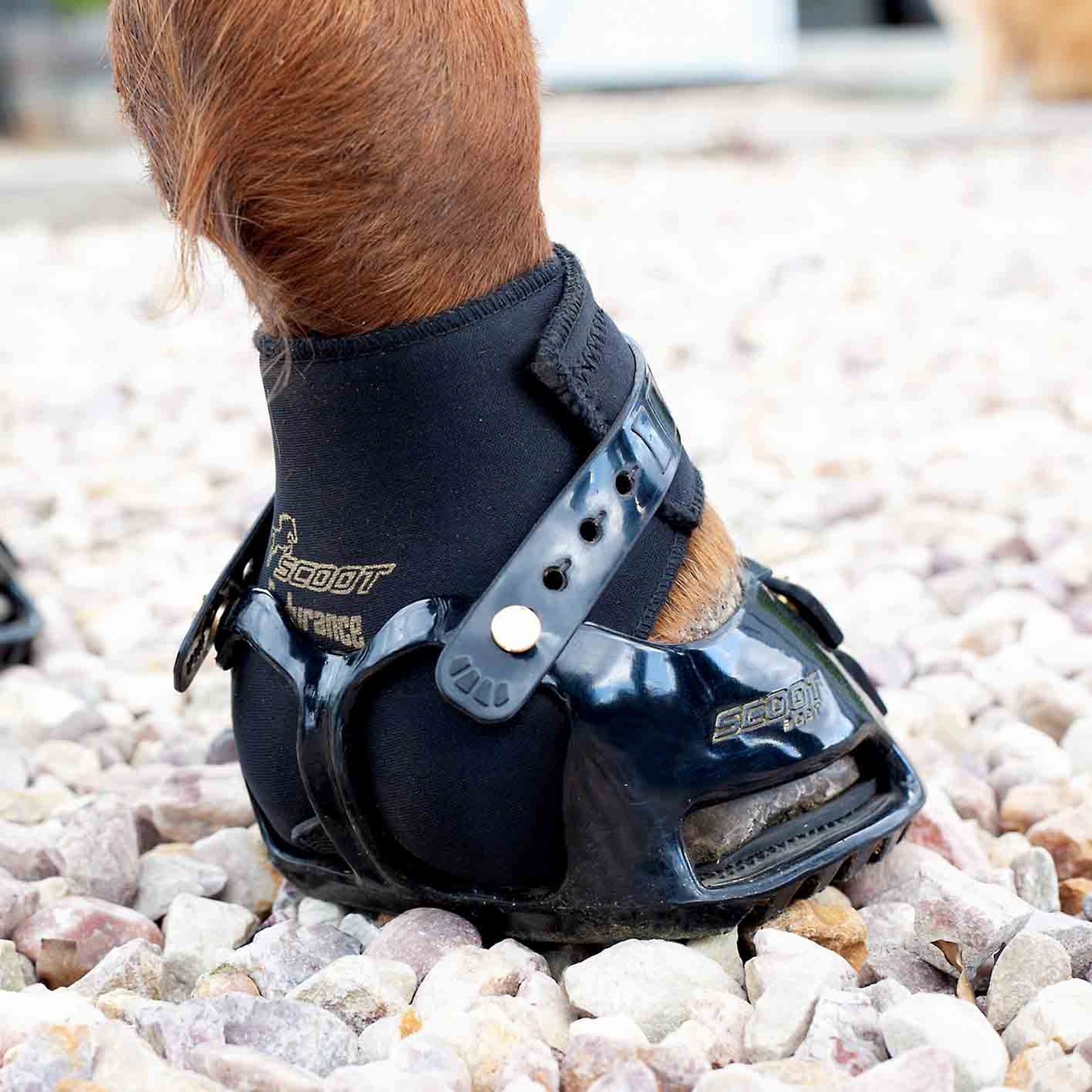 Scoot Boot Endurance Gaiter Pack (Pair)