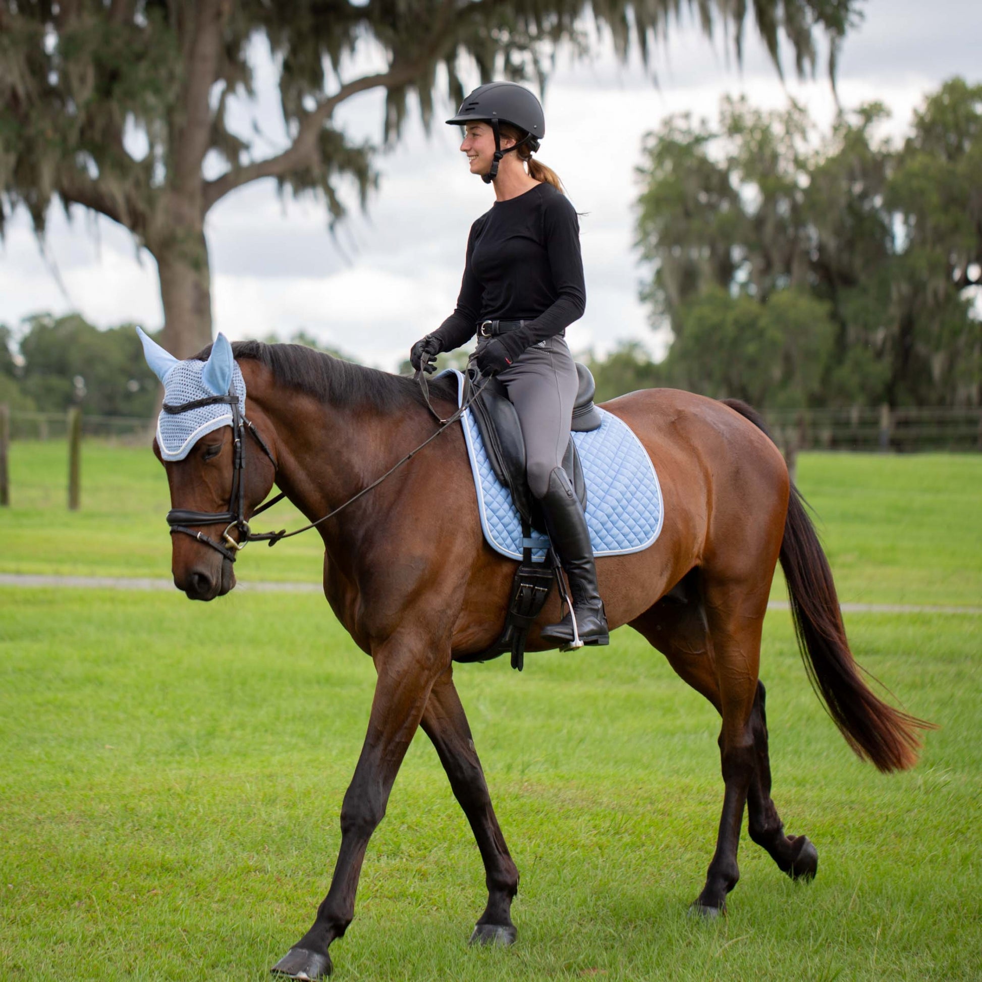 Equinavia Elin Ladies Seamless Long Sleeve Top