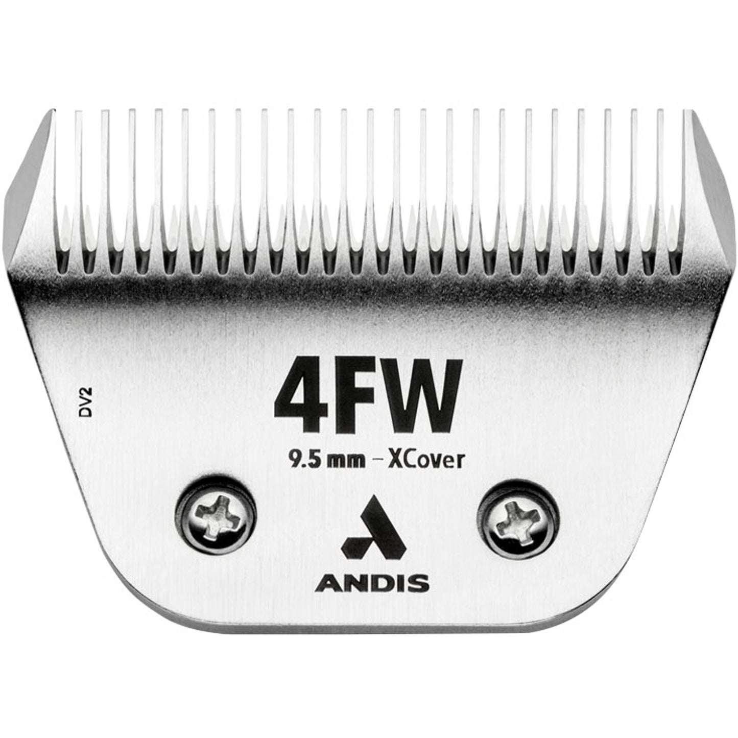 4-446495-b.jpg