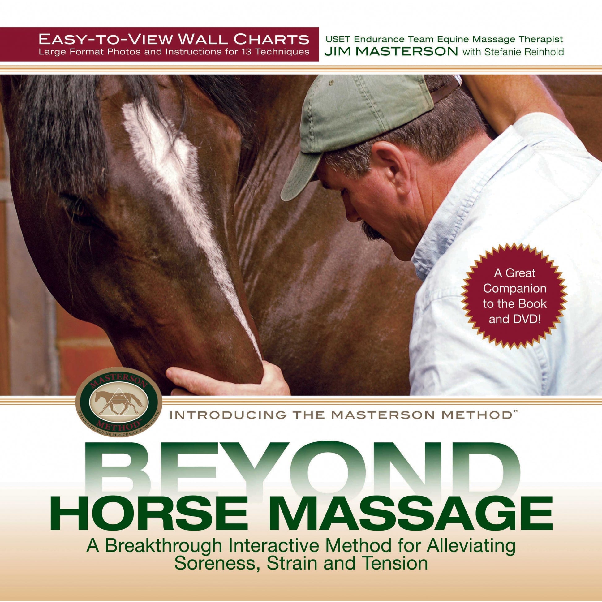 Beyond Horse Massage Wall Chart