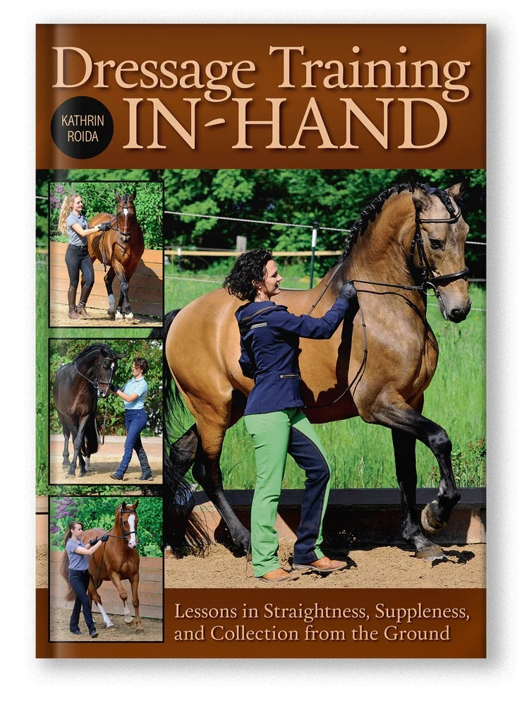 Dressage Training In-Hand