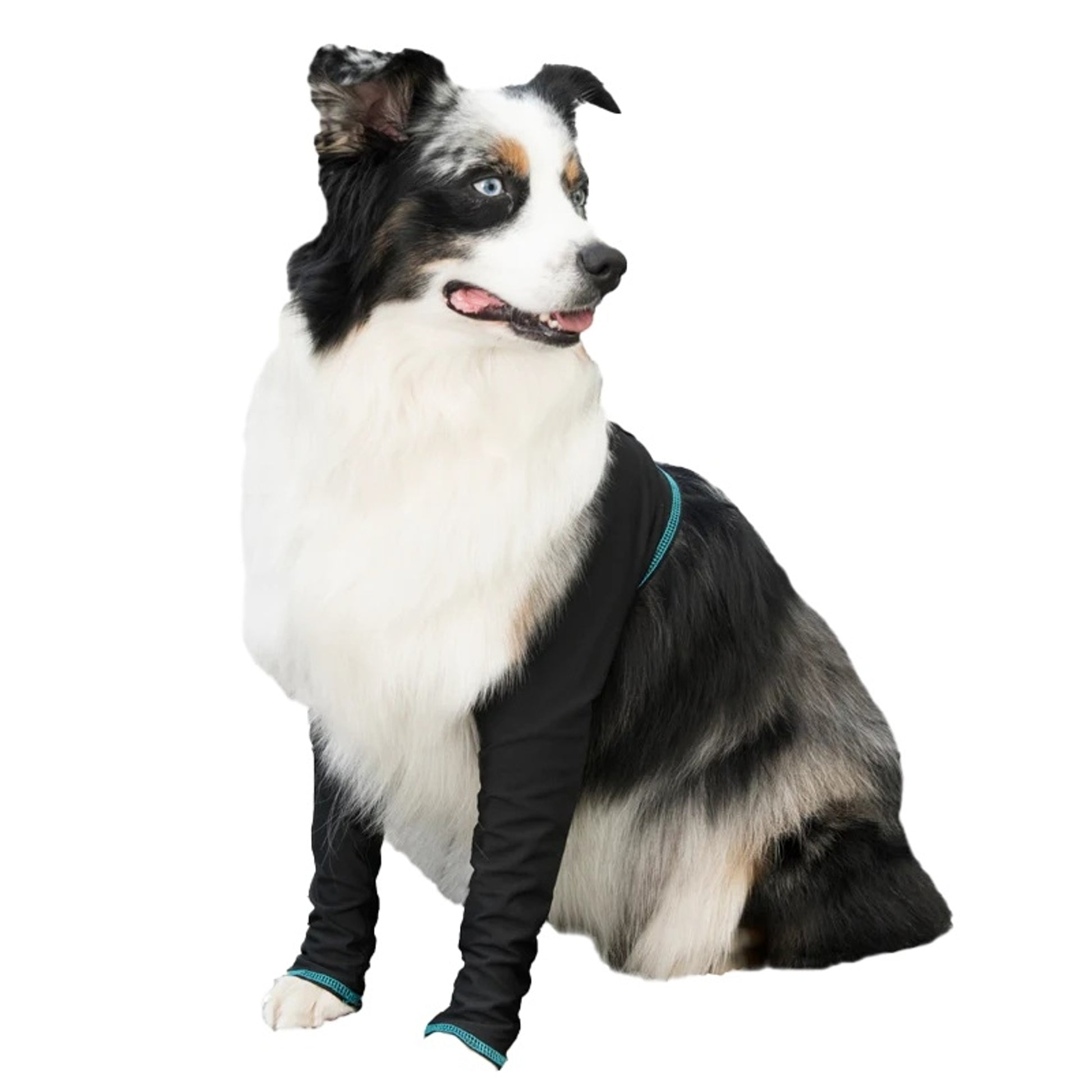 BeneFab Canine Comfort & Care Sleeves - Front