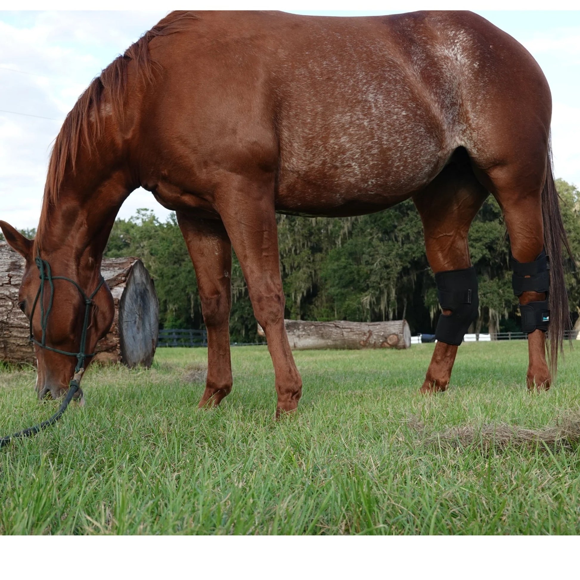 BeneFab Rejuvenate Smart Hock Boots