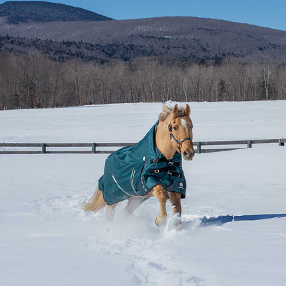 Equinavia Arktis Extended Neck Turnout Sheet