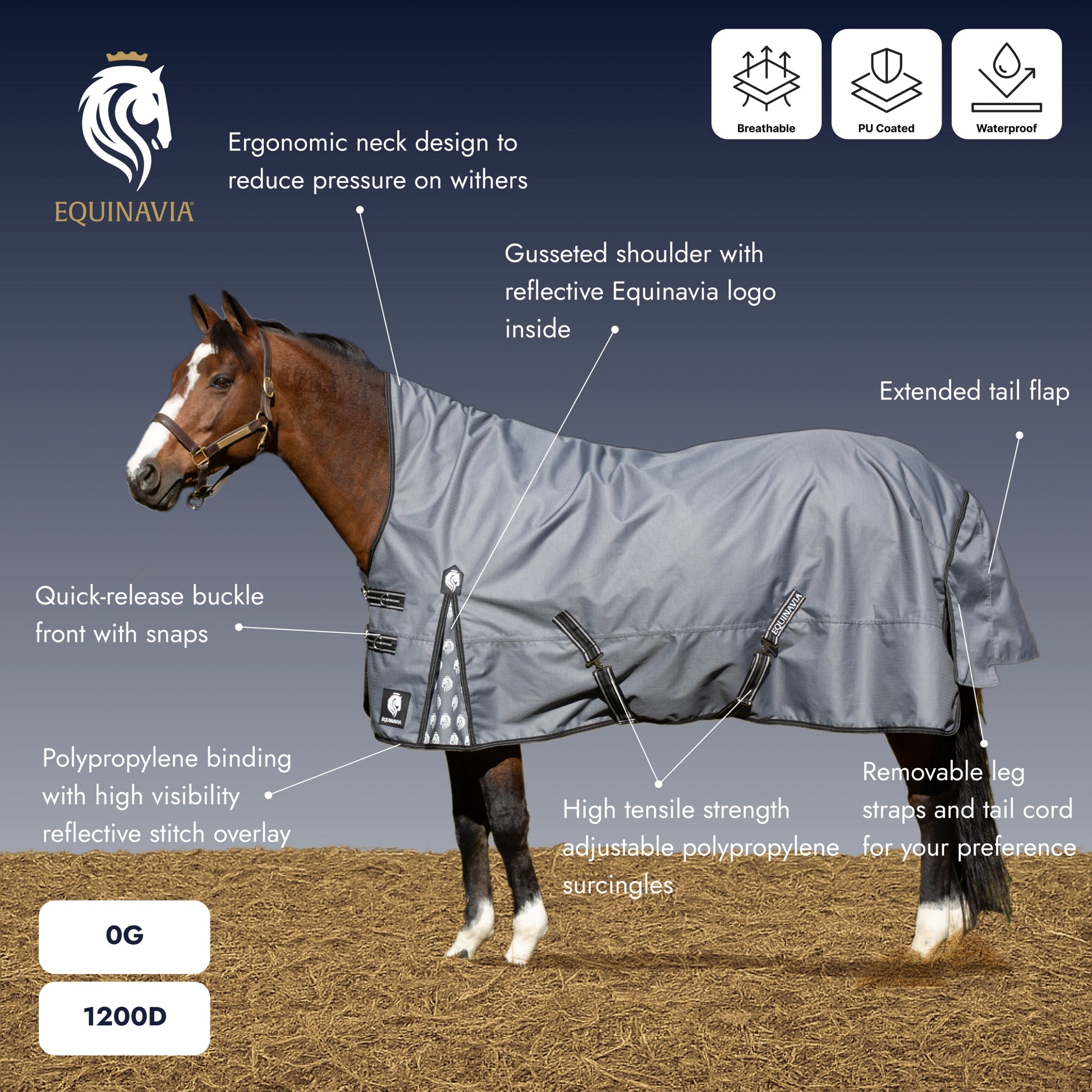 Equinavia Arktis Extended Neck Turnout Sheet