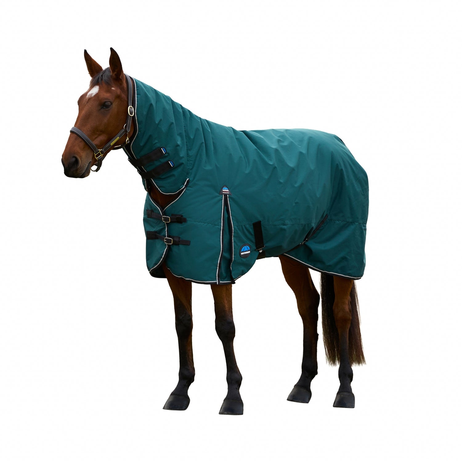 WeatherBeeta End of Season Blanket Sale