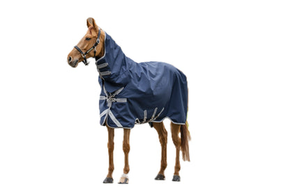 Amigo 1200D integrated Turnout 250g