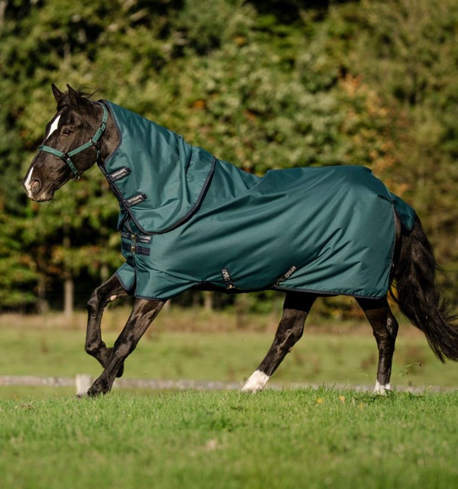 Horse Tack - Saddles - Riding Boots | HorseLoverZ