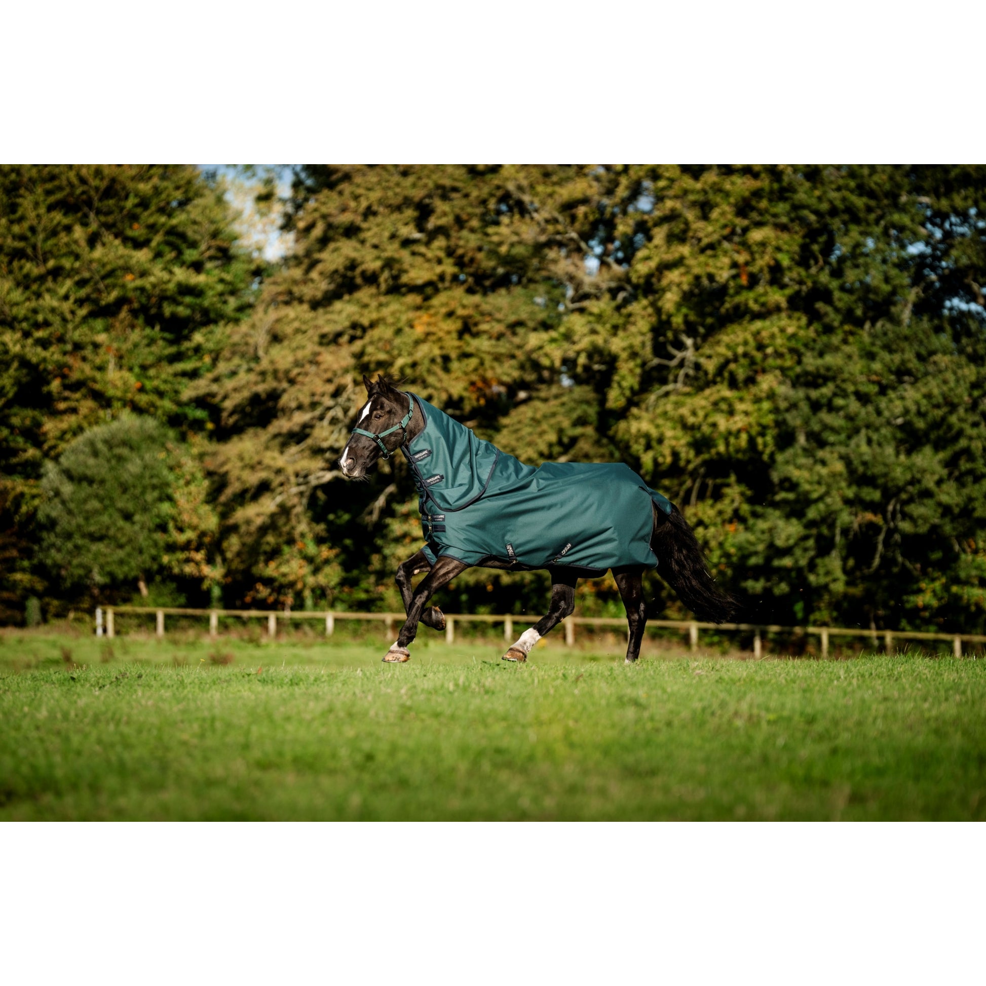 Amigo Ripstop 900D Plus Pony Turnout 0g