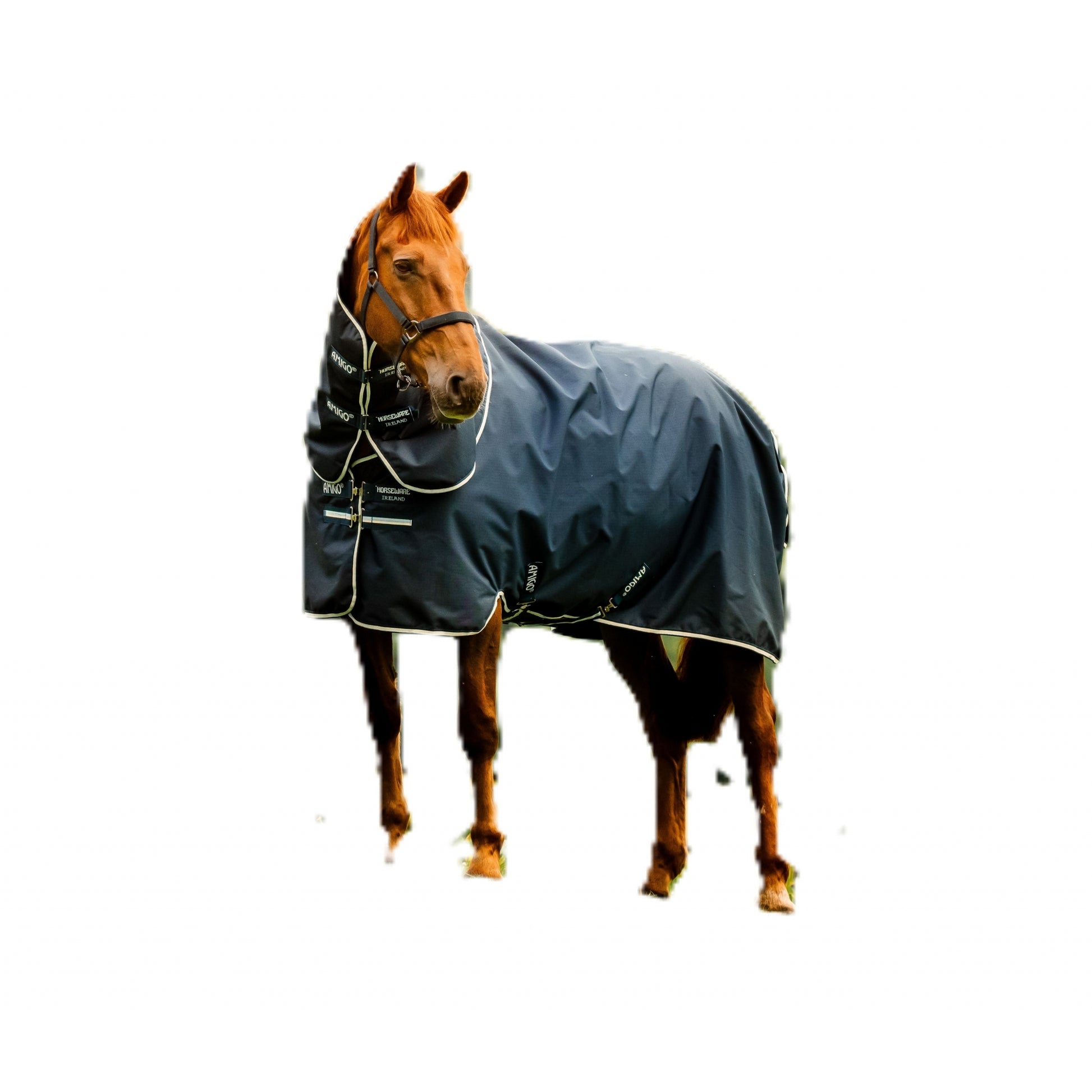 Amigo Ripstop 900D Plus Pony Turnout 0g